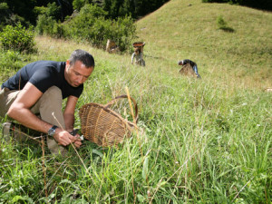 Tutto nasce dalla raccolta a mano.